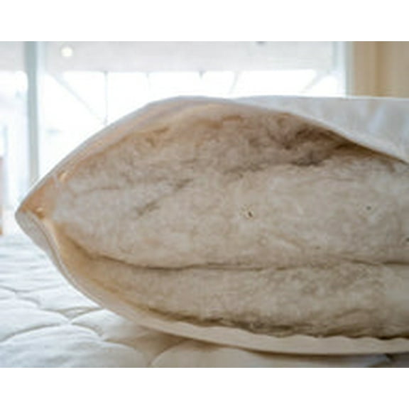 100% Organic Cotton filled Pillow with Cotton Cover - Made in the USA, Queen/Standard Size High Loft Pillow, Pike's Brand