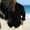 Black # Mens Shirts, variant on Long Sleeve T-Shirts for Men Outdoor Winter Button down Casual Pocket Stylish Plain Linen Mens Tops