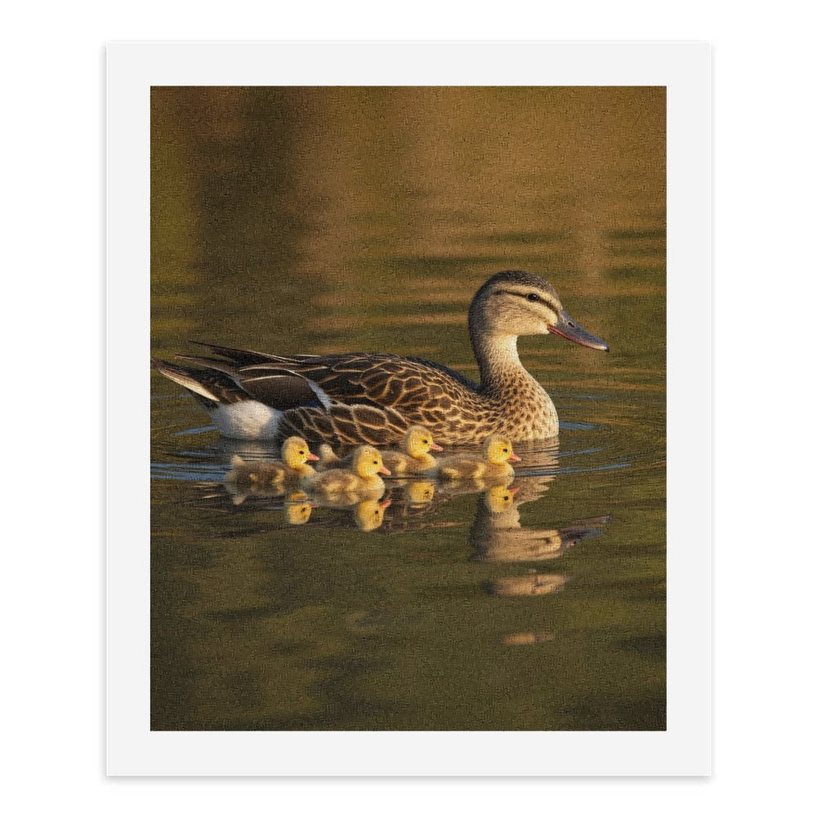Paint by Numbers Kit for Adults, Duck Family Lake Reflections Paint by Numbers, Easy Paint by Numbers Kit for Adults Beginner, DIY Adult Paint by Number Kits on Canvas, Home Decor
