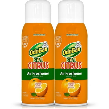 OdoBan 10 oz. Orange Real Citrus Air Freshener Spray, Citrus Oil Natural Air Freshener, Room Deodorizer & Toilet Spray (2 Pack)