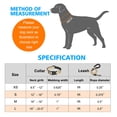 thumbnail image 4 of Set de collar y correa para perros Ladoogo de nailon reflectante para perros, 4 of 7