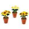 Timeless Minis Potted Daisies 1In X2 Ast