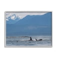thumbnail image 3 of Stupell Industries Killer Whale Fines Ocean Mountain Peak Landscape Orcas, 14 x 11, Design by Daniel Sproul, 3 of 5
