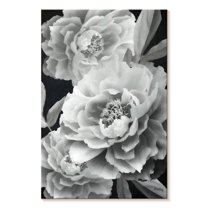 Elephant Stock Black And White Peonies Wall Art - Vertical Canvas Wall Art - Living Room Wall Decor - Floral And Botanical Canvas - Gray And Black Decor By Heidi Kuntz - 30" x 45"