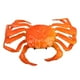 thumbnail image 3 of Estatuilla de cangrejo Hugo Naranja Juguete educativo, 3 of 10
