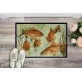 thumbnail image 2 of Carolines Treasures 8983MAT Tapis de Natation Poisson Rouge Intérieur Ou Extérieur - 18 x 27 Po., 2 of 4