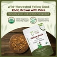thumbnail image 2 of Organic Way Yellow Dock Root Cut & Sifted (Rumex crispus) - European Wild-Harvest | Organic & Kosher Certified | Vegan, Non GMO & Gluten Free | USDA Certified | Origin - Albania (1/2LBS / 8Oz), 2 of 8