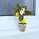 thumbnail image 2 of LED Lemon Bonsai – Realistic Indoor Potted Artificial Fruit Tree, 2 of 4