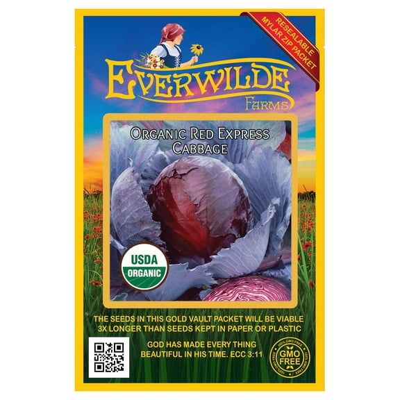 Everwilde Farms - 100 Organic Red Express Cabbage Seeds - Gold Vault Jumbo Bulk Seed Packet