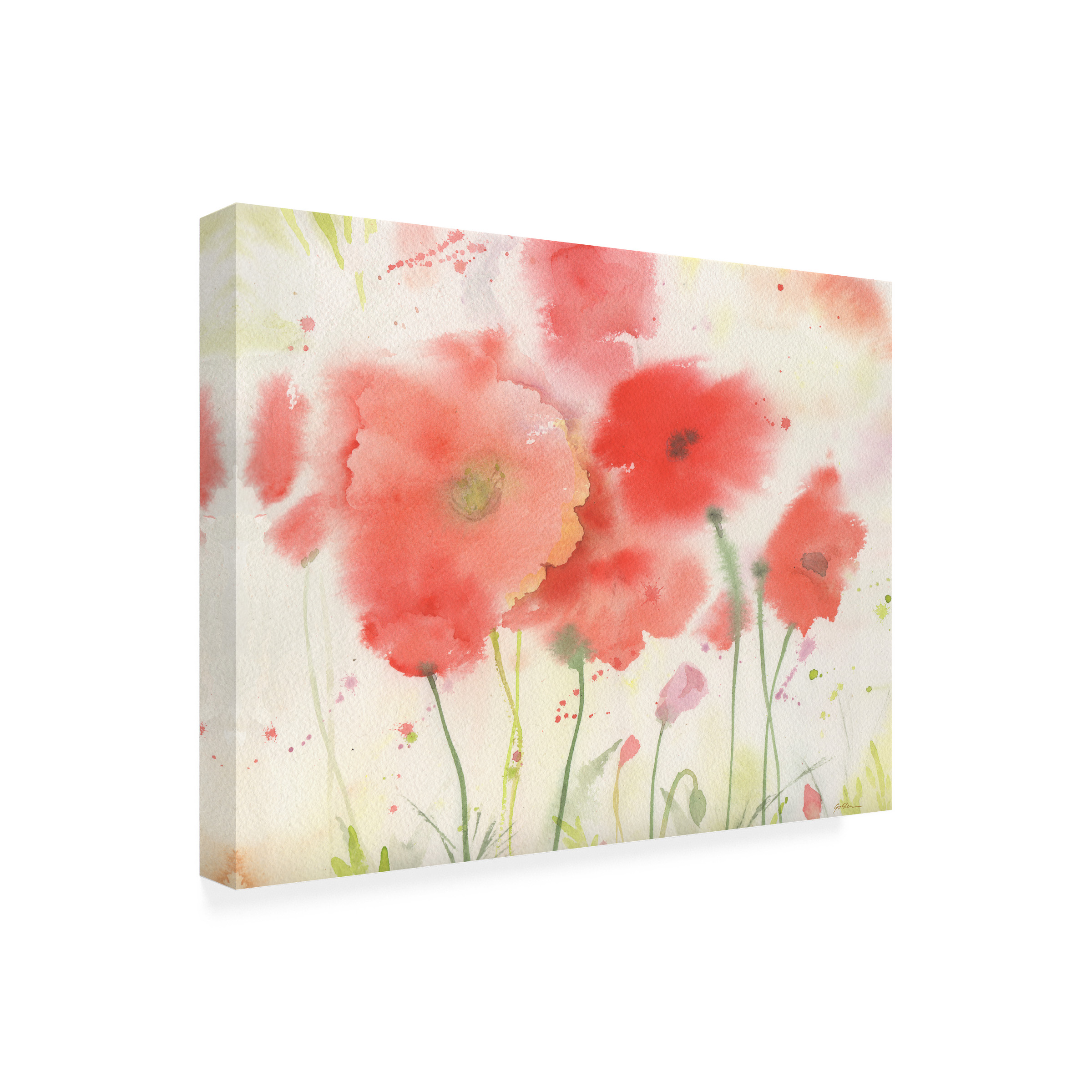 Trademark Fine Art Sheila Golden Coral Fiesta Canvas Wall Art - 18x24