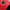 Red/Black, variant on Champion Men's Super Slide Split Script CB Sandal