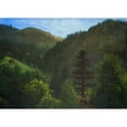 thumbnail image 3 of Bierstadt, Albert 18x14 Black Modern Framed Museum Art Print Titled - Wooded Landscape, 3 of 5