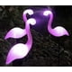 thumbnail image 3 of 3 X Solar Lamp Decorative Flamingo Set Flamingos Garden Decoration, 3 of 5