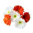 thumbnail image 4 of Artificial Chrysanthemum Bundle Simulation Flower PU Floral flower simulation flower Decor Fake Flower Bundle Home Decor, Orange White, 4 of 7