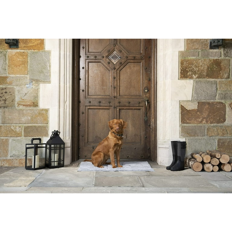 Doormat Dog Gone Smart Color: Grey, Size: Medium ( 2 H x 20 W x 31 L)