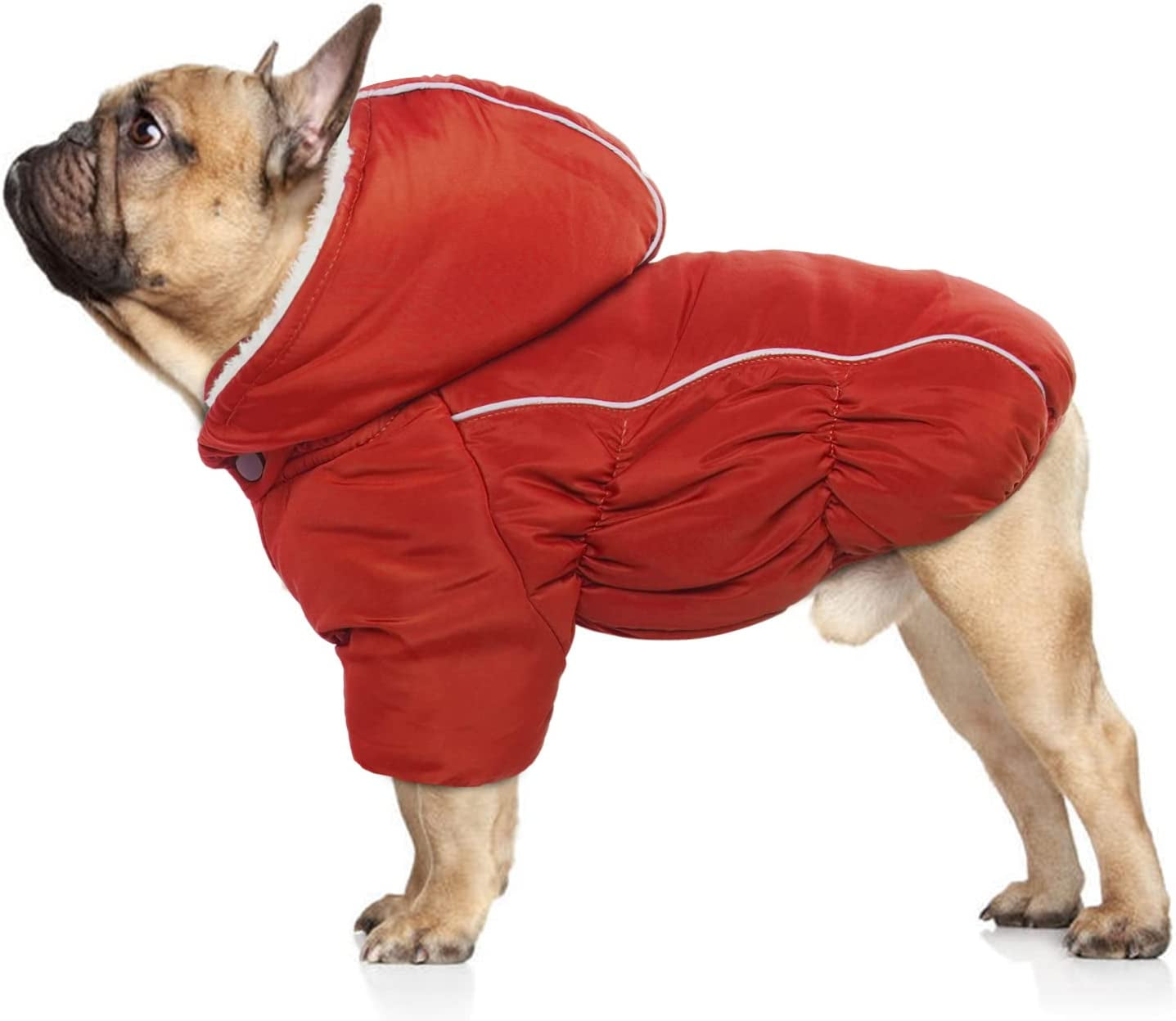 DENTRUN Warm Dog Coat, Reflective Fleece Lined Cold Weather Dog Jacket