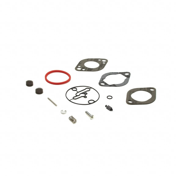 Briggs and Stratton 796137 Carburetor Repair Kit
