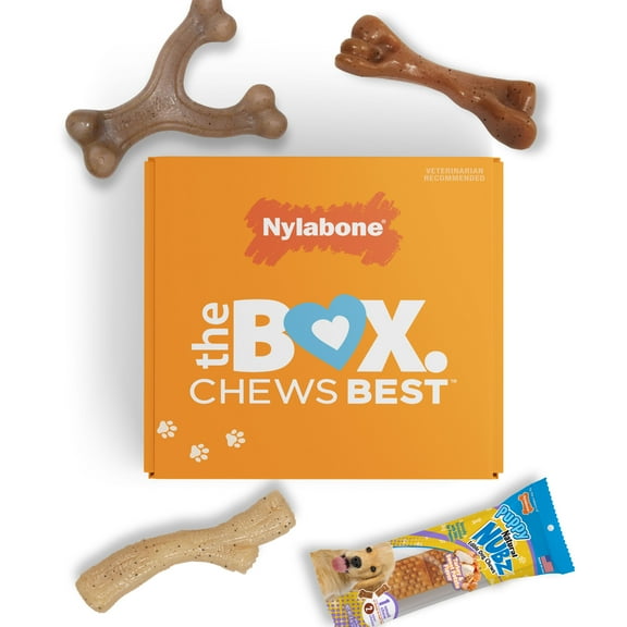 Nylabone The Box - Chew Toys & Treat Puppy Gift Box Variety Small (4 Count)