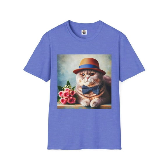 British Shorthair Domestic Cat