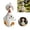 A, variant on Funny White Fat Hen Statue, Resin Table Art Sculpture Funny Hen Figurine Decoration, Rustic Country Tabletop Decoration, Farm Animal Kitchen Countertop Ornament, 5 inches Tall