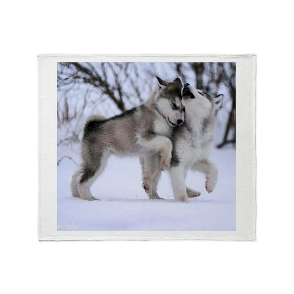 CafePress - Throw Blanket - Soft Fleece Throw Blanket, 50"x60" for All Ages