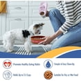 thumbnail image 4 of Pets First NCAA Ohio State Buckeyes Super-Bowl Slow Feeder Bowl for Dogs and Cats with Non-Slip Mat, 4 of 7