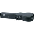 Carrion C1504 Black Hardshell Guitar Case