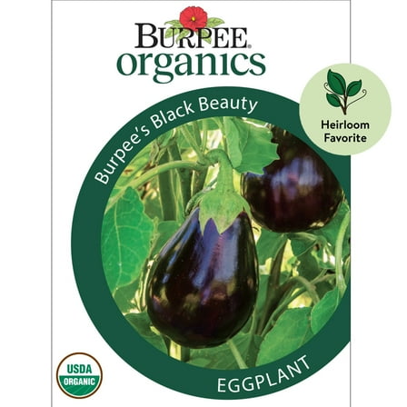 Burpee Organic Burpee's Black Beauty Eggplant Vegetable Seed, 1-Pack, Full Sun, Annual