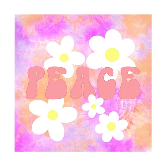 Canvas Wall Art - Tina Lavoie 'Peace' Wall Art for Living Room, Bedroom, or Office Décor by Trademark Fine Art - 14 x 14 Inches