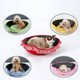 thumbnail image 3 of Mascotas Cama de Cojín de mascota Súper Suave Removible Cálido Almohadilla de Animal Doméstico Gloria Cama del animal doméstico, 3 of 9