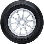 Radar Argonite RV-4S 205/65R16 107 T Tire