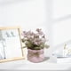 thumbnail image 5 of Plantas Artificiales De Plástico En Maceta Pequeña flor de mariposa rosa artificial en maceta, planta verde falsa para decoración del hogar y accesorios de fotografía (1 unidad) JASKFLY, 5 of 9