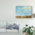thumbnail image 3 of Trademark Fine Art 'Birds in Flight I' Canvas Art by Megan Meagher, 3 of 4