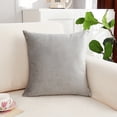 thumbnail image 2 of Cinvoph Velvet Throw Pillow Soft Solid Velvet Decorative Pillow for Sofa Chair Bed Waist Back Support Home Decor 18", 2 of 7