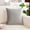 F, variant on Velvet Throw Pillow 17.7x17.7 Inch – Soft Lumbar Support Cushion,Soft Square Cream Throw Pillows for Sofa, Chair, Bed – Home Decor & Back Relief,Farmhouse Home Decor,Multi-color Choice
