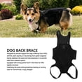 thumbnail image 3 of Dog Back Brace Arthritis Support Strong Rigidity Back Wrap Dachshunds Corgis Beagles Lightweight Black, 3 of 7