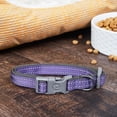 thumbnail image 6 of Vibrant Life Metal, Plastic & Nylon Striped Safety Dog Collar, Purple, Medium, 6 of 6