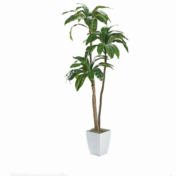 D&W Silks 6' Birdnest Palm in White Square Metal Planter