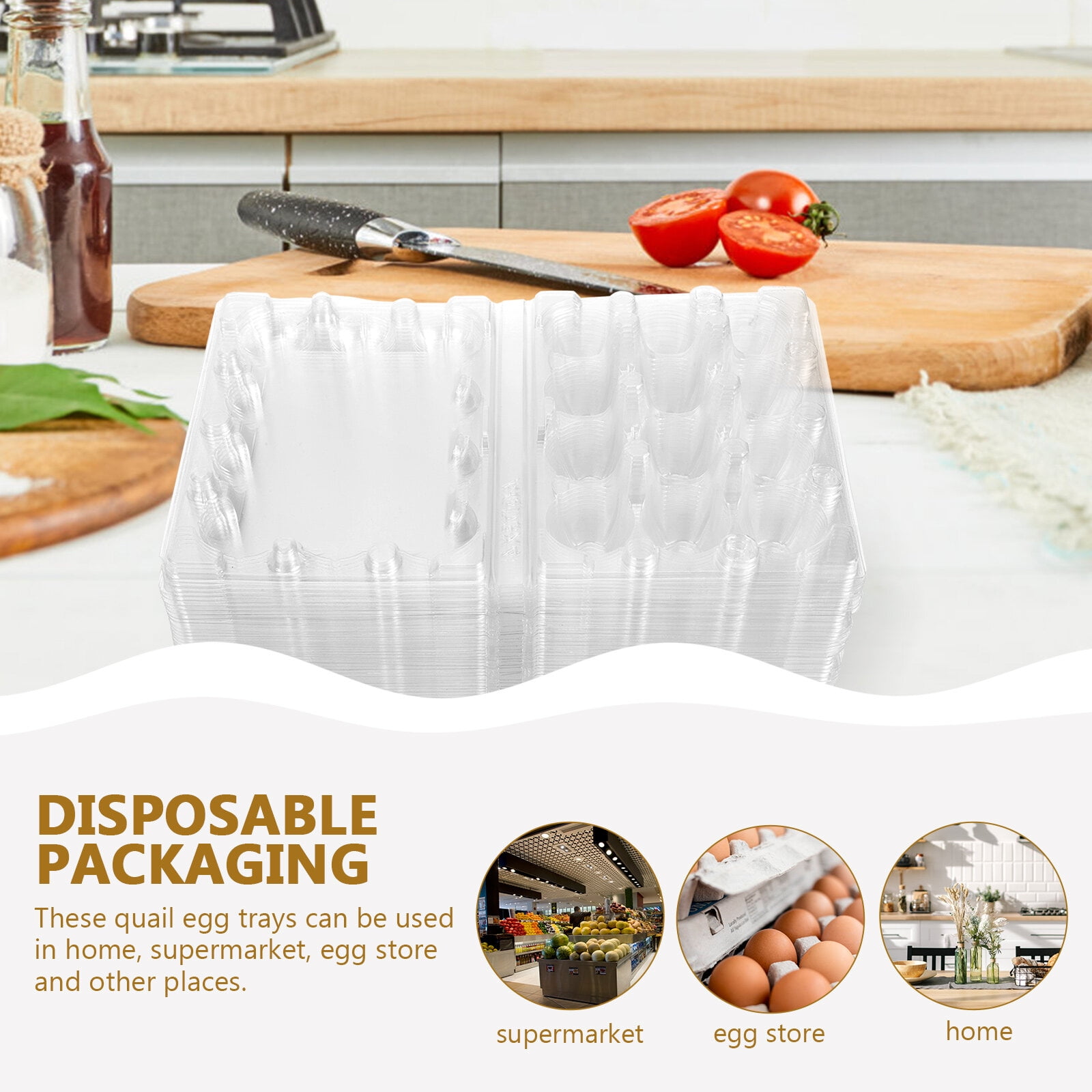 Transparent Quail Egg Carton with 12 Cavities for Storage Strong Plastic Durable Reusable Easy to