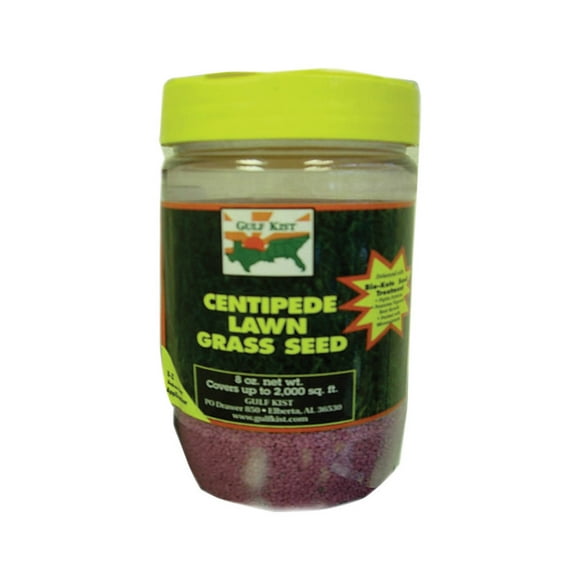 BARENBRUG 7105943 CENTIPEDE Herbe 8OZ (Lot de 1)