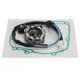 thumbnail image 1 of Generador de bobina de estator magnético con junta para Honda CRF 250 R CRF250R 2004-2009, 1 of 9