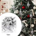 thumbnail image 4 of 12 piezas de colgantes de estrella de árbol de Navidad, manualidades, colgante de estrella de árbol de Navidad Plata, 4 of 6