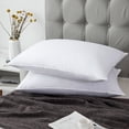 thumbnail image 1 of Puredown Goose Down and Feather Bed Pillows 2 Pack, White, King Size, 1 of 5