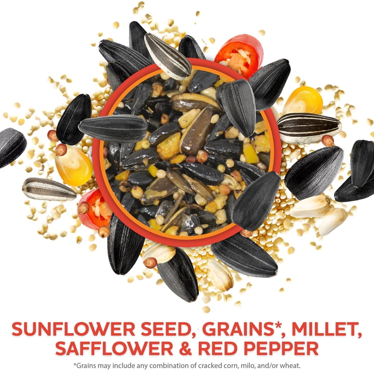 Vibrant Life Spicy Sunflower Wild Bird Snack Stack, 7 oz - Walmart.com
