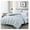 Silver, variant on All Season Queen Size Down Comforter - Plush Microfiber Fill - Box Stitch Quilted - Duvet Insert with Corner Tabs (Full/Queen, White)