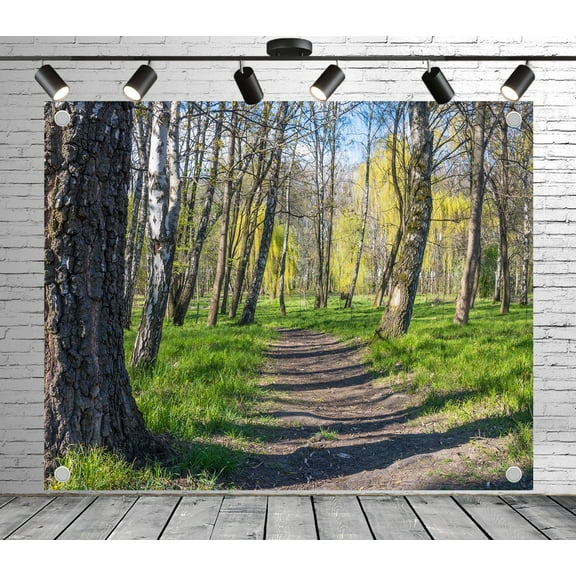 7x5ft Serene Forest Path in Spring Backdrop Photoshoot Photo Backdrop Nature Scenery Background for Theme Party Wedding Birthday Baby Shower Decoration Banner Photo Booth Studio Props