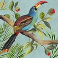 thumbnail image 2 of Wilson, Aimee 26x26 White Modern Wood Framed Museum Art Print Titled - Paradise Toucan I, 2 of 4