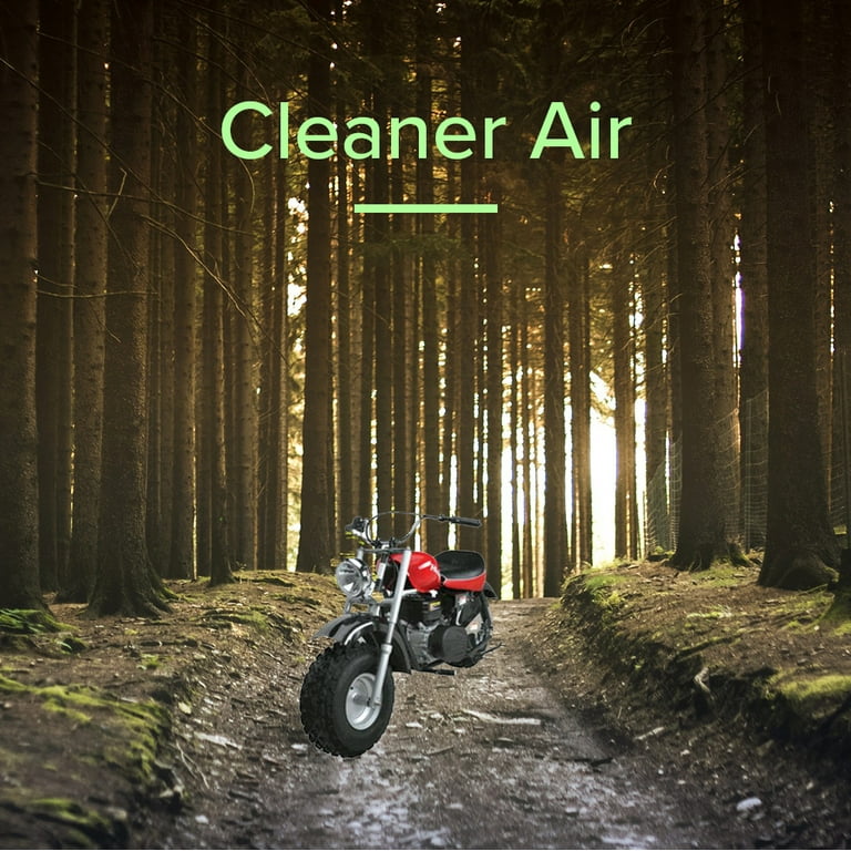 AlveyTech Air Filter Element Set for Predator 212cc 6.5 HP Engine and Baja  MB165 MB200 Mini Bike 