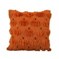 thumbnail image 1 of Btomtd Taie d'Oreiller Citrouille, B, 1 of 9