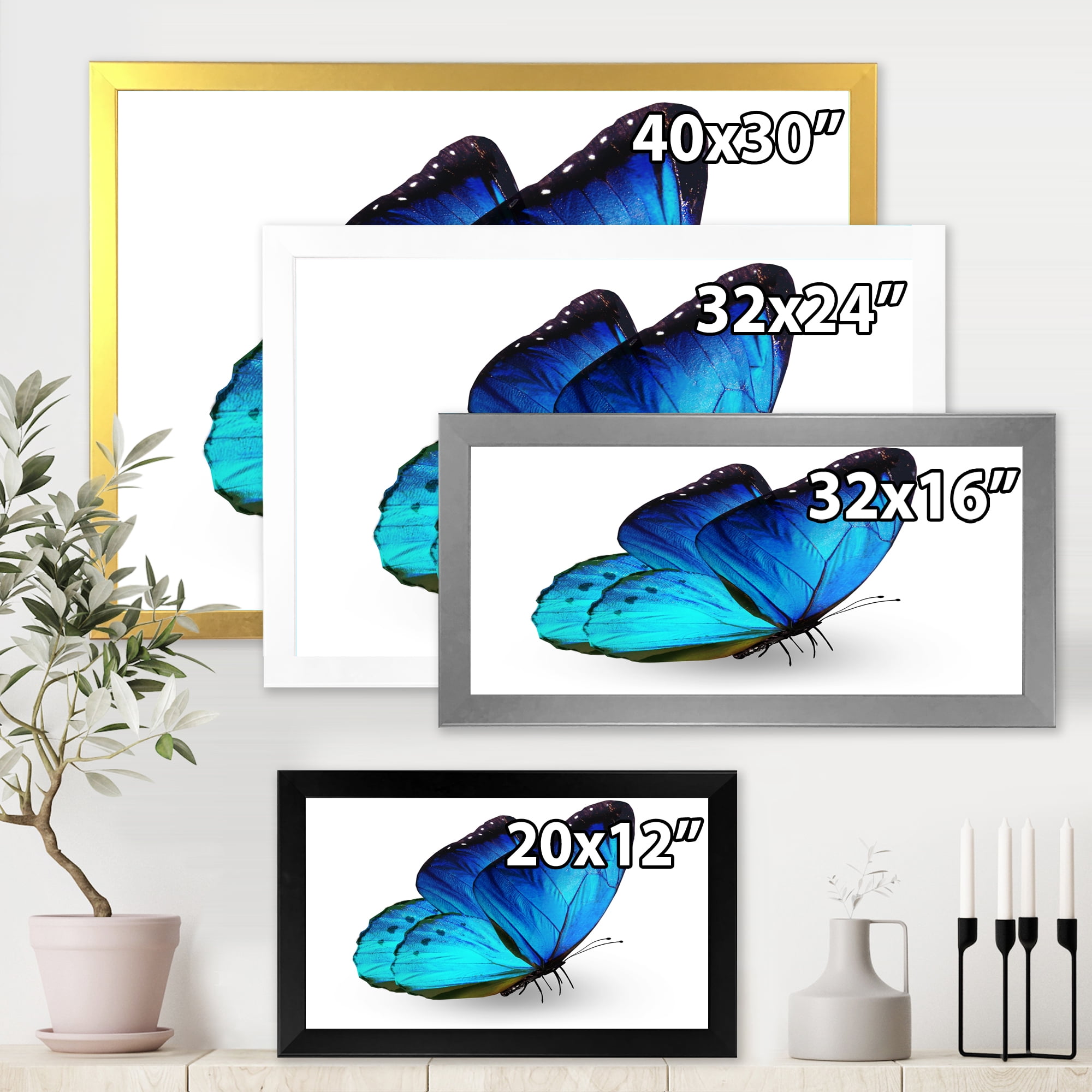 Designart 'Close Up Of Vibrant Blue Butterfly On White' Modern Framed Art Print